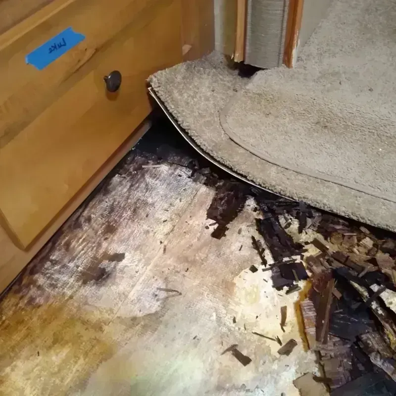 Wood Floor Water Damage in Portage County, WI